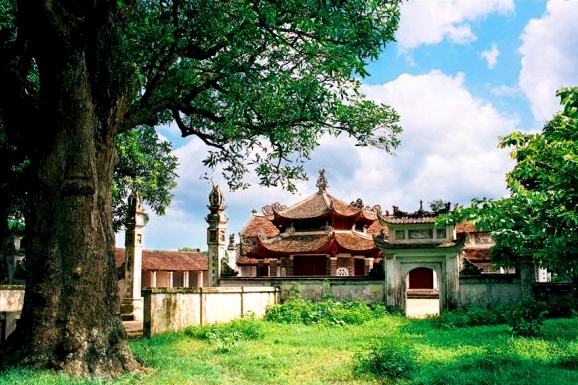 Die Lang Pagode und der ehemals größte Nadelbaumwald in Hanoi